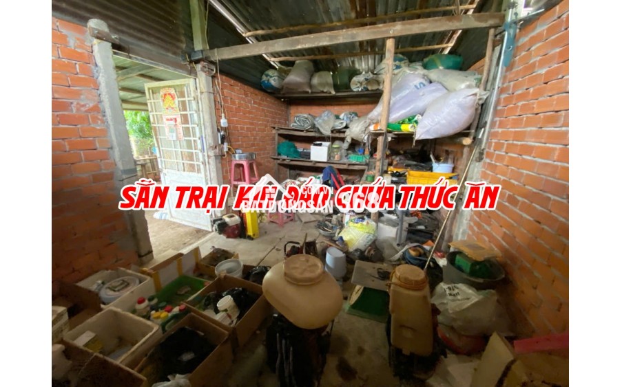 Bán đất ruộng lên ao sẵn tại Cao Lãnh